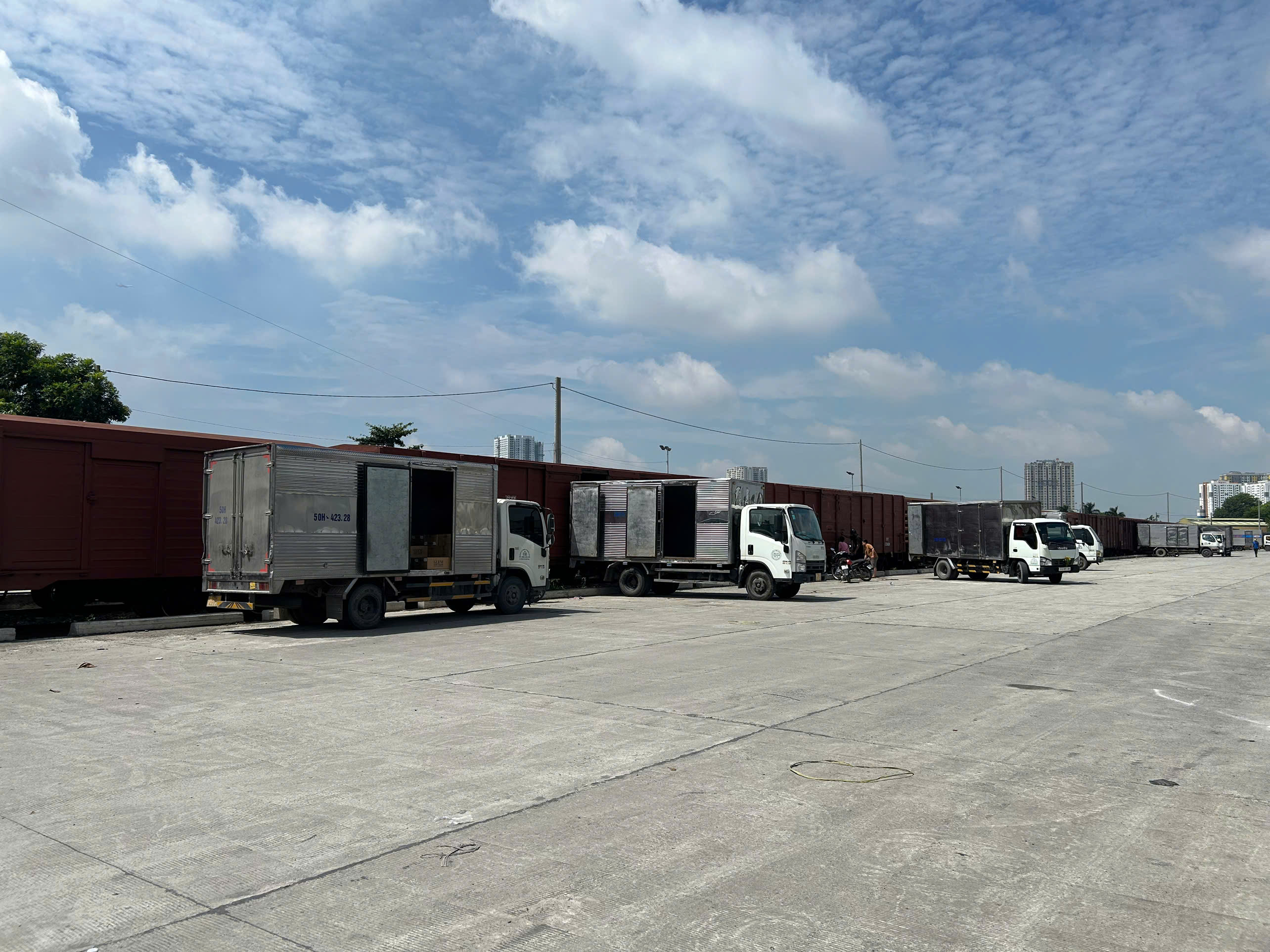 Hoạt động vận chuyển hàng hóa